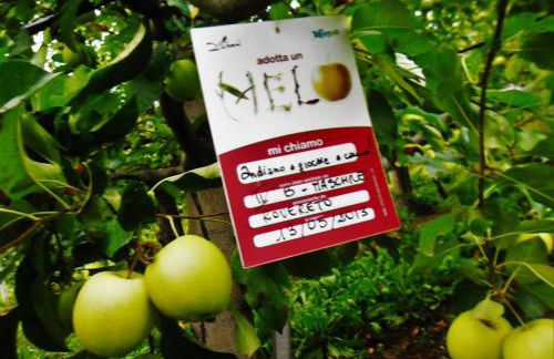 Agritur Leita - Foto 72