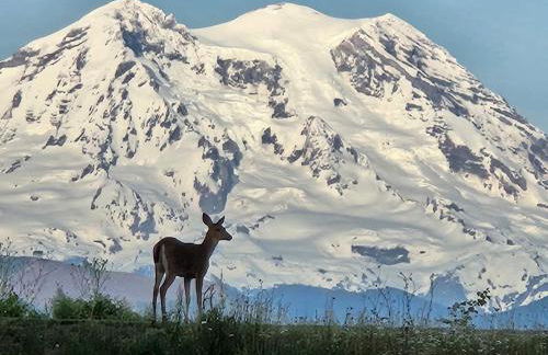 Stunning Mt Rainier Views!tahoma Ridge Cottage - Foto 3