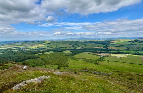 Herb Wood Cottage - Foto 50