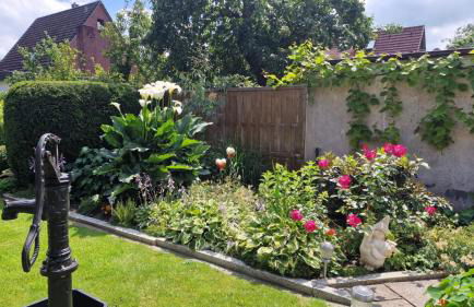 Ferienhaus Lang - Photo 16