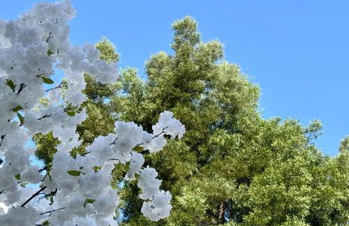 Oasis de Confort Urbano 2 Plantas - Foto 29