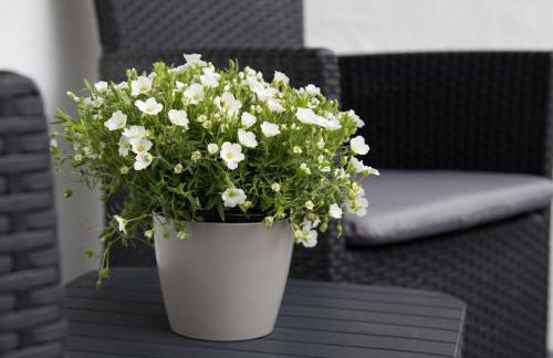 Wildgrün Mini Lodge 8a - Foto 5