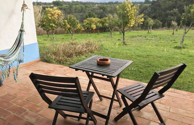 Herdade do Freixial - Foto 27