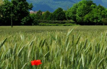 Apartment Sant Francesc - Photo 38