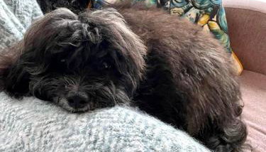 18 Duckpool - Foto 5