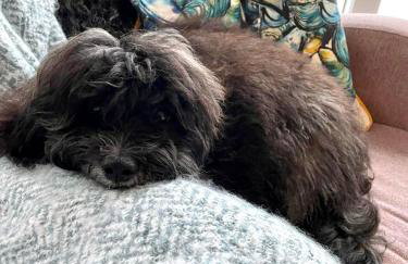 18 Duckpool - Foto 5