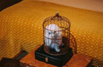 Le gîte du Sorcier 89 - Foto 11