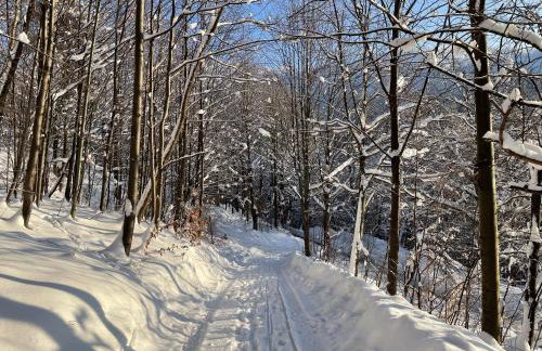Apartament Kurort Kozubnik - Taras nad Potokiem - Foto 15