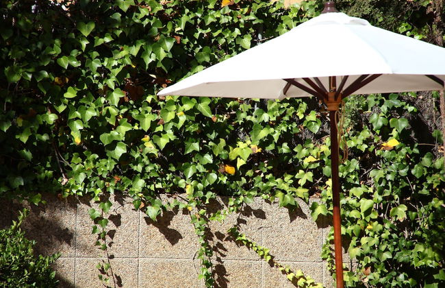 Apartamentos Jade - Adults Only +16 - Foto 45