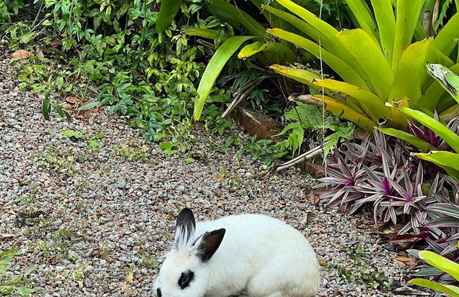 Casa com Piscina em Gov Celso Ramos - SC - Photo 29