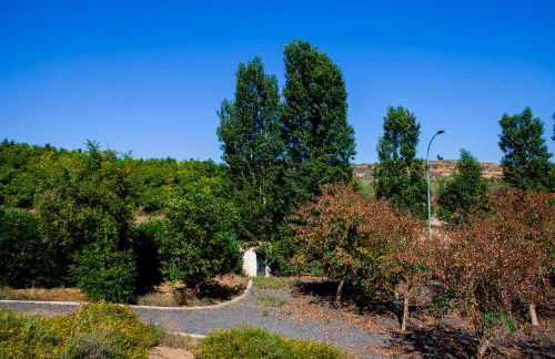 Apartamentos El Chorrilllo - Photo 29