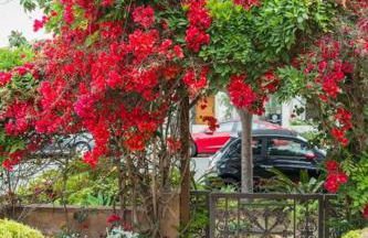 Entire Second Flr - Santa Monica Luxury Roman Villa - Foto 6