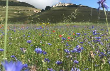 Da MammaMimma - Foto 48