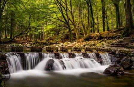 Grey Heron Townhouse - Foto 27