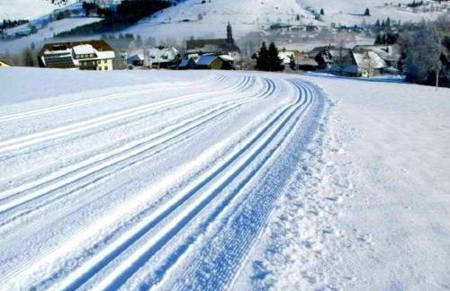 Apartment Wannenhof historisch by Interhome - Foto 28