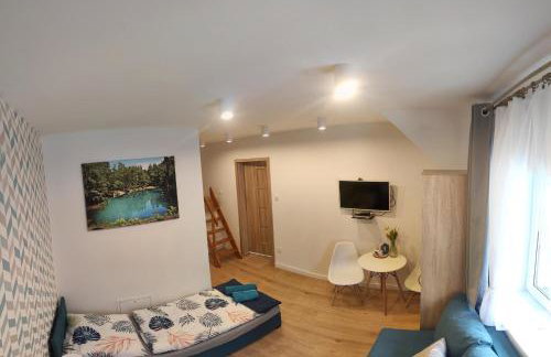 Agroturystyka Blicharzówka Noclegi - Foto 29