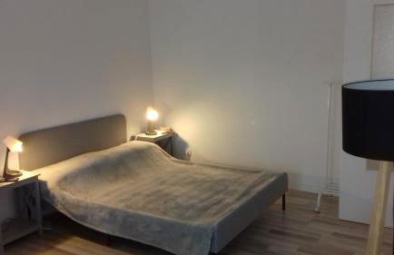 Appartement tt confort prox tram et GARE ou CHU Hautepierre à 5 minutes - Photo 21