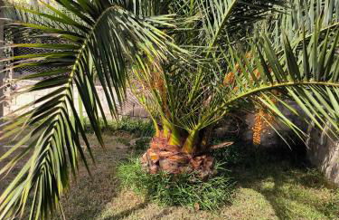 Villa Ana Maria - Foto 30