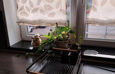 LenaVi's Fewo Nähe Europa Park & Rulantica "3 abgeschlossene Zimmer " - Foto 45