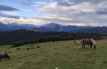 Altxabi Apartamento Rural - Foto 33