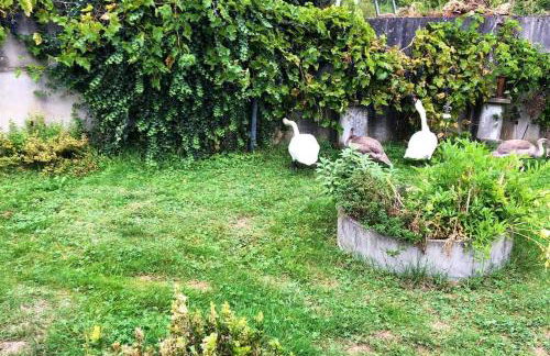 Wohnen direkt an Mosel und Goldbach - Foto 37