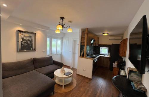 Villa Rossi - Photo 51