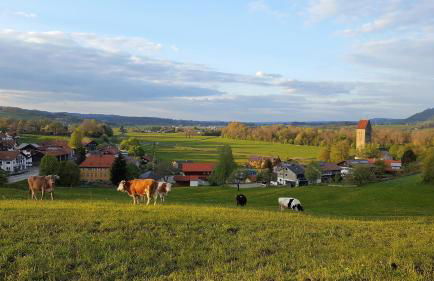Ferienwohnung am Eichwald - Photo 51