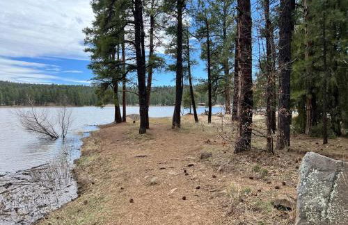 The Bluejay Cabin at Munds Park, AZ! - Foto 29