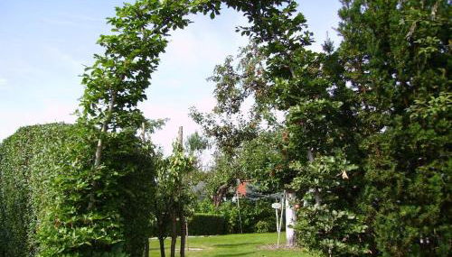 Ferienhaus-Weitblick - Foto 5