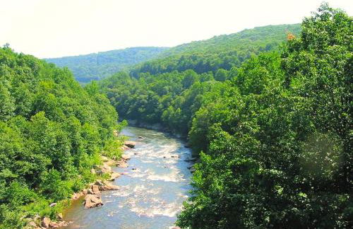 Riverfront Cabin Rental with a Private Beach on Youghiogheny River near Pittsburgh, Pennsylvania - Foto 20
