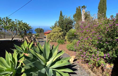 Casa Florita - Foto 8