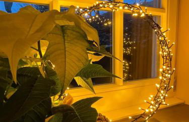 Dottie's Place - Foto 31