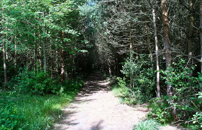 Ferienhaus Waldblick - Foto 25