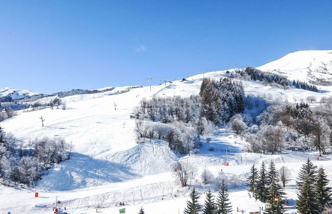 Pegase Phenix - Foto 20