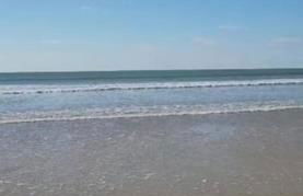 T2 cozy face dunes et océan - Thalasso et golf - Foto 45