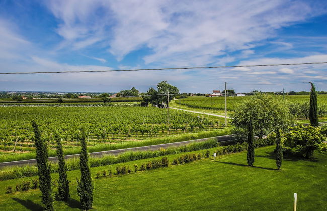 Trere Agriturismo - Photo 74