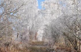 Ferienwohnung am Herreder Wald - Photo 23