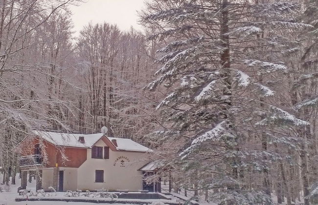 Chalet Il Cristallo - Photo 40