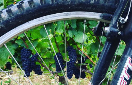 La Maison du Clos du Roi - Foto 21