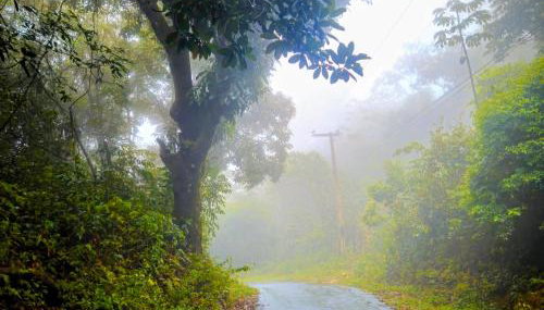 Sítio Maranatá, a mais bela vista do Pacoti! 20min de Guaramiranga! - Foto 3