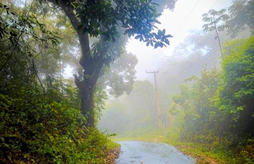 Sítio Maranatá, a mais bela vista do Pacoti! 20min de Guaramiranga! - Foto 7