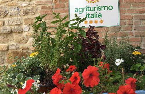 Agriturismo La Ratta - Photo 53