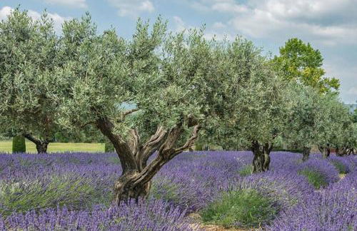 Superbe maison de village et sa terrasse panoramique - Foto 37