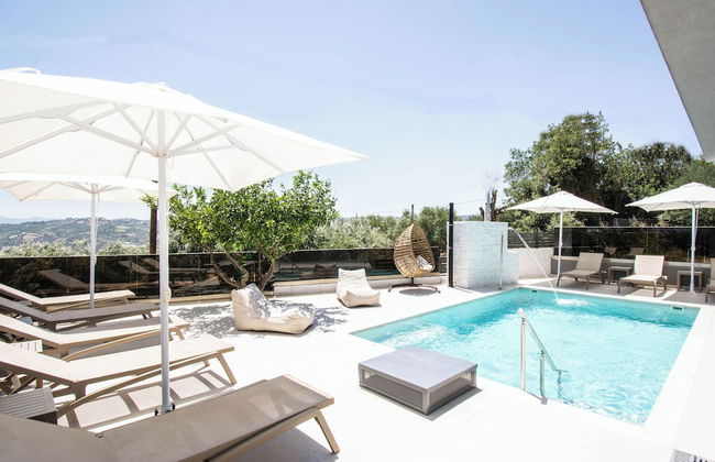 Olive Tree - Foto 28