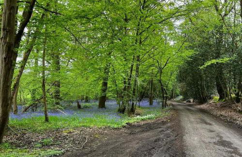 'Toasty Oasty' - 18th Century Oast House - Foto 7