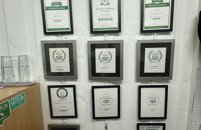 Coral Paradise Resort - Foto 15