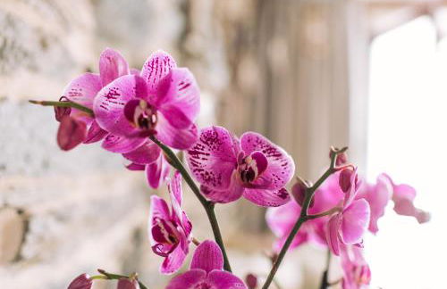 casa boral - Foto 18