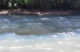 Cabana Pequeno Bosque Refúgio dás Águas - Foto 41