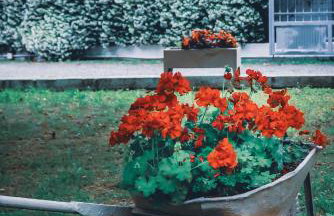 NikoleTakis Apartments - Foto 29