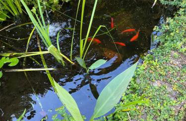 La Petite Fleur-Charming Park Circle Private Studio - Foto 21